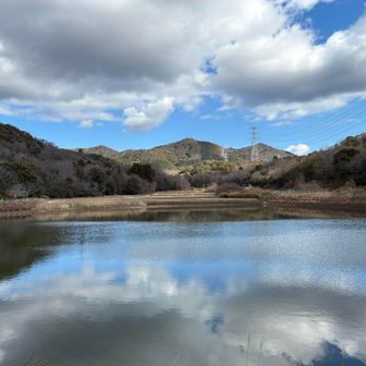 リフレクション✨