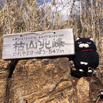 ゴンちゃん記念撮影