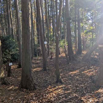 旗尾岳　到着🙌