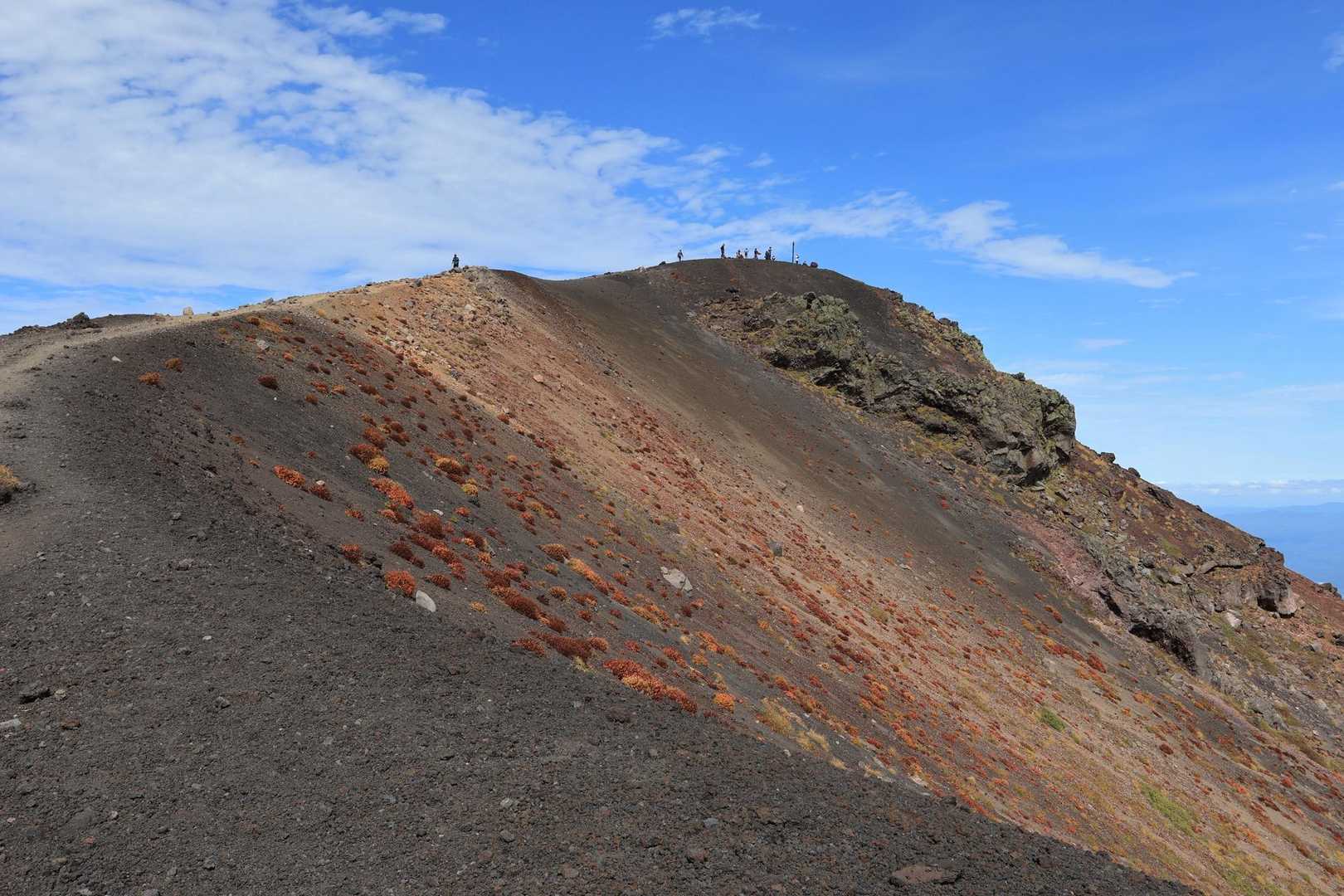 岩手山 馬返し登山口コースの写真