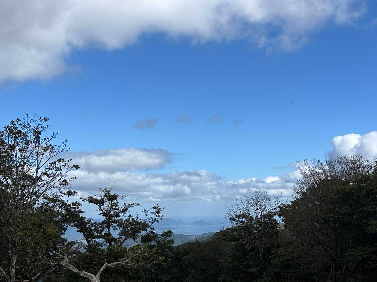 日本海の海（宮津の海かな❓）が見えます🌊👏