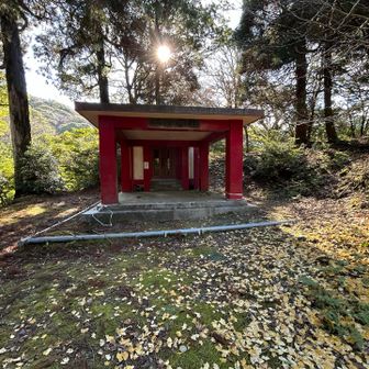 上宮神社に戻って登尾コースへ💦
アスファルトから離れてついに登山という感じだ〜🙌