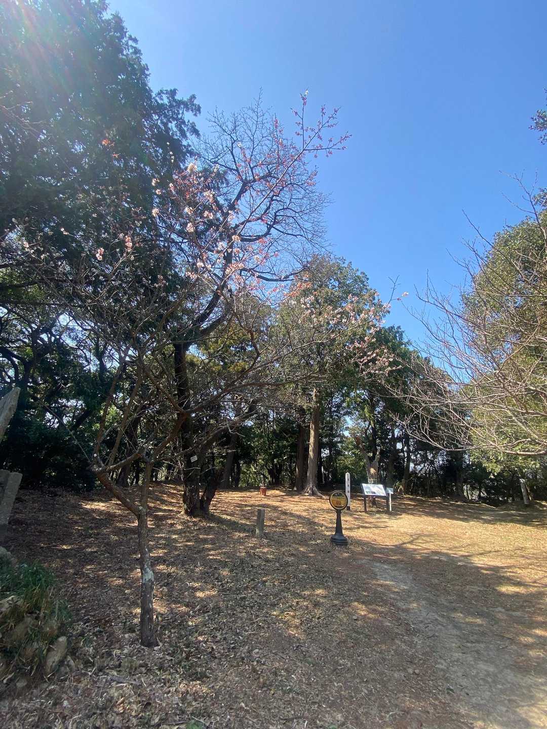 ここが本丸跡