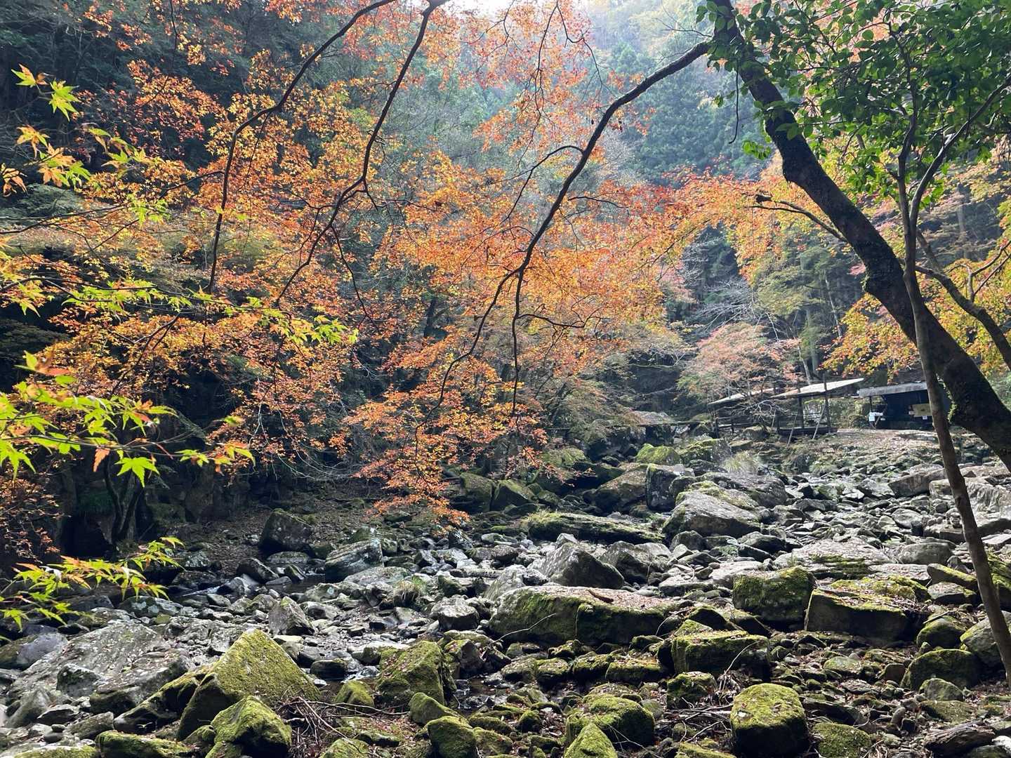長坂山入山口-長坂山-赤目滝バス停 縦走コースの写真