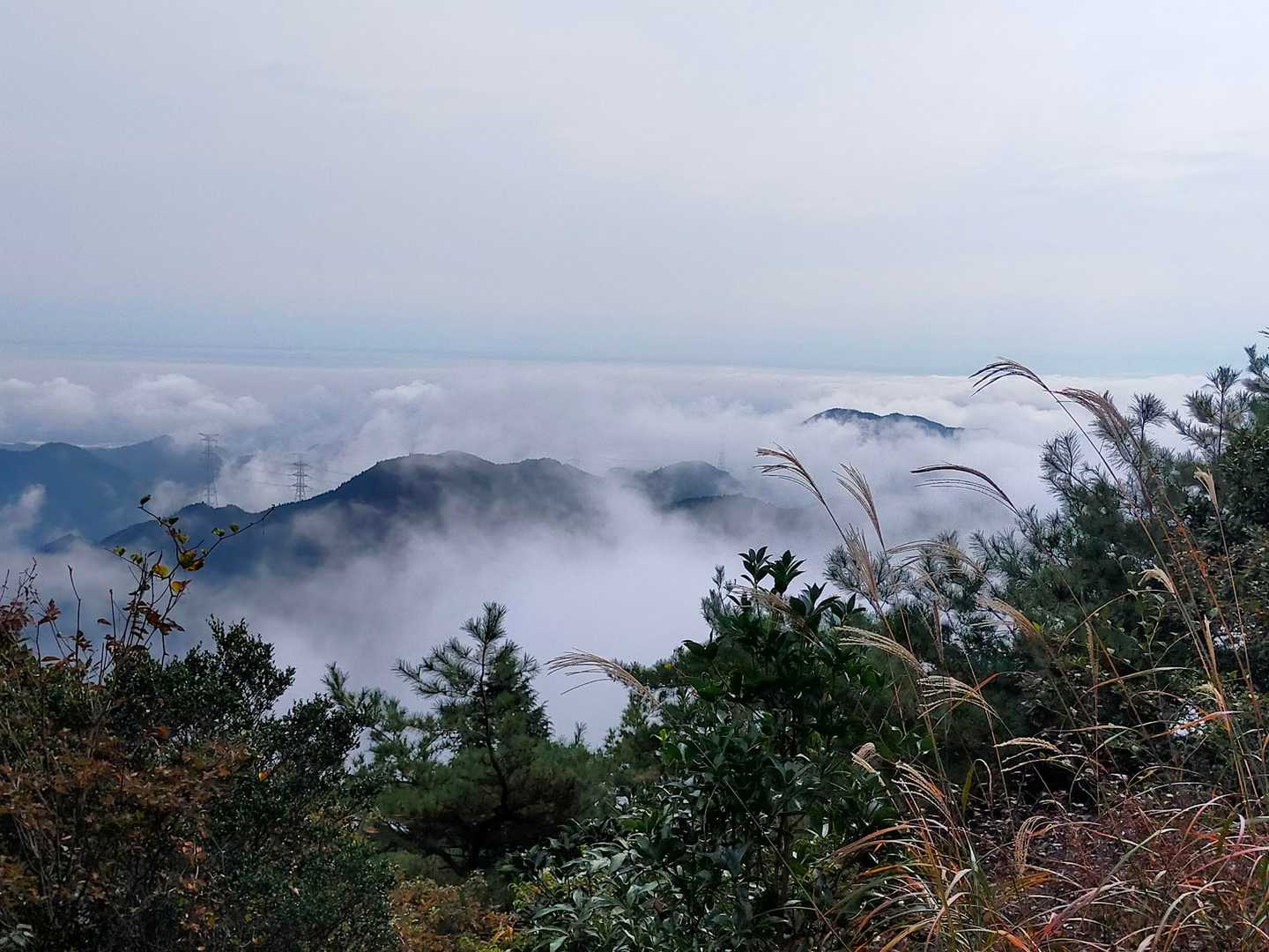 雲海となっています。