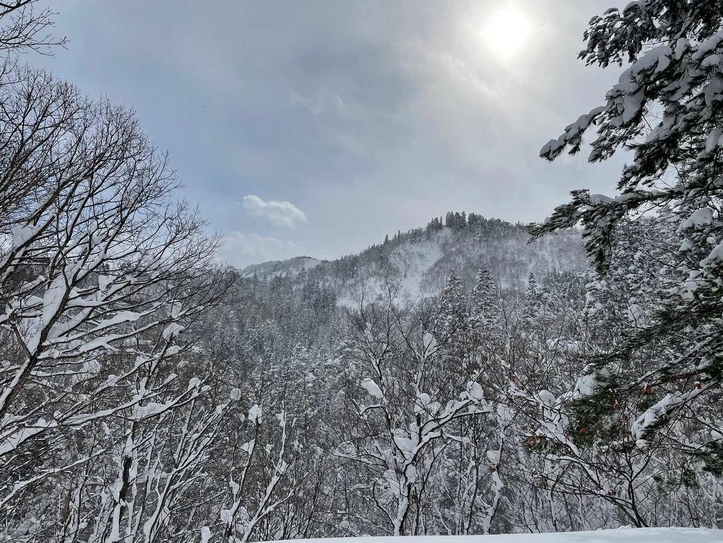 下山は青空！