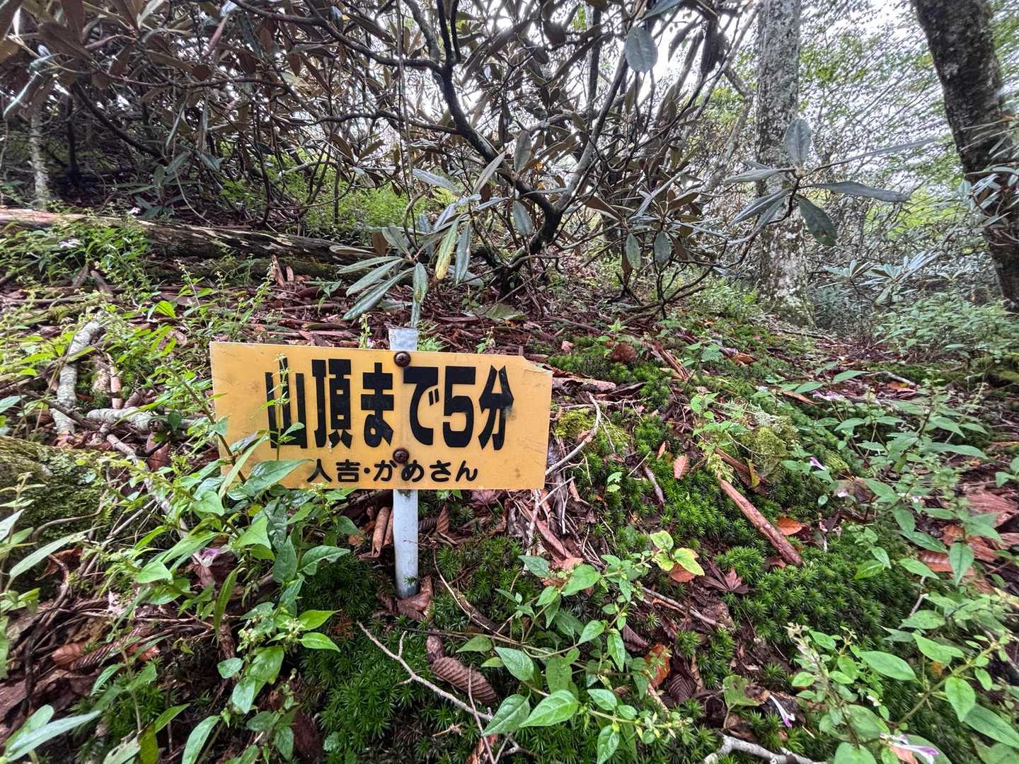 山頂まで5分、やっと来ました👏🏻