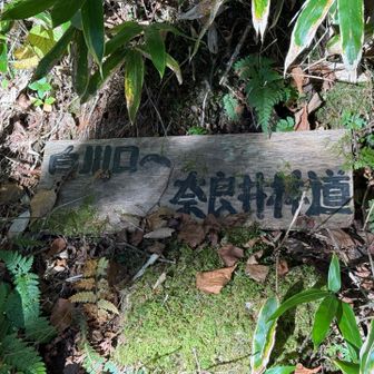 な…奈良？