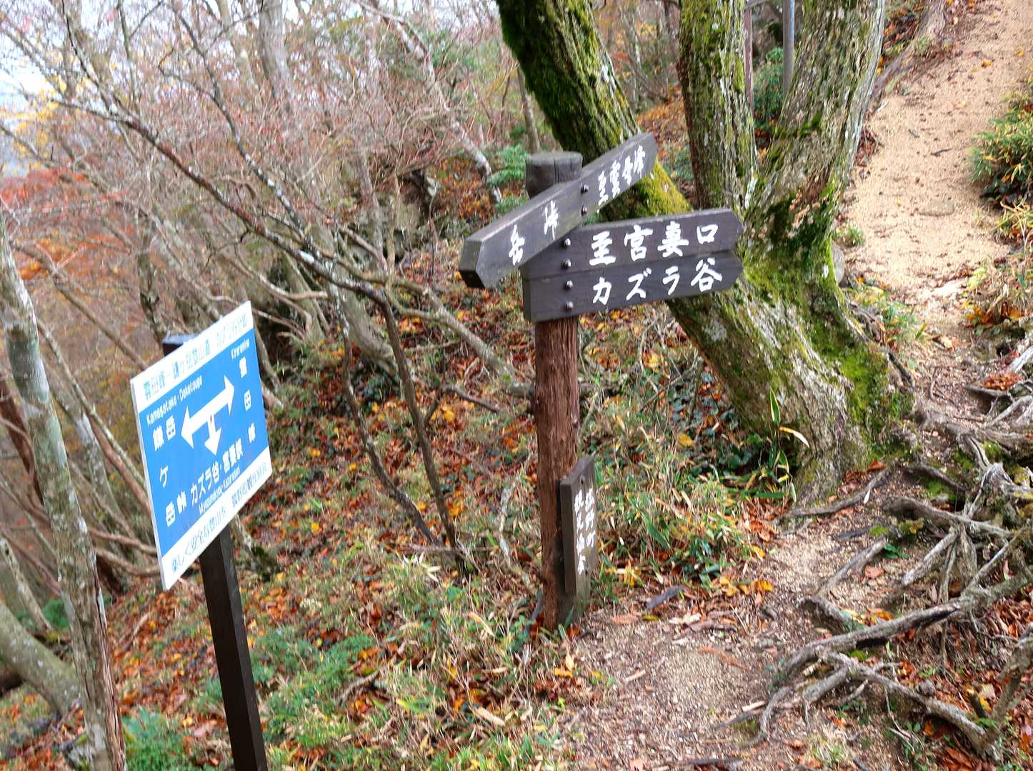 食事時間短縮でカズラ谷にて下山開始