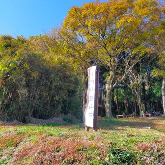 登山口から入ります。今日も時計回りです。