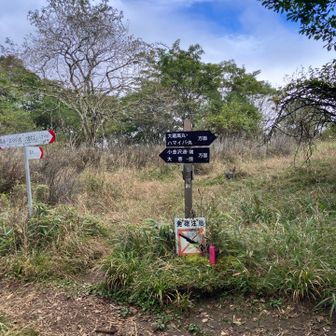登山道入り口からすぐに分岐