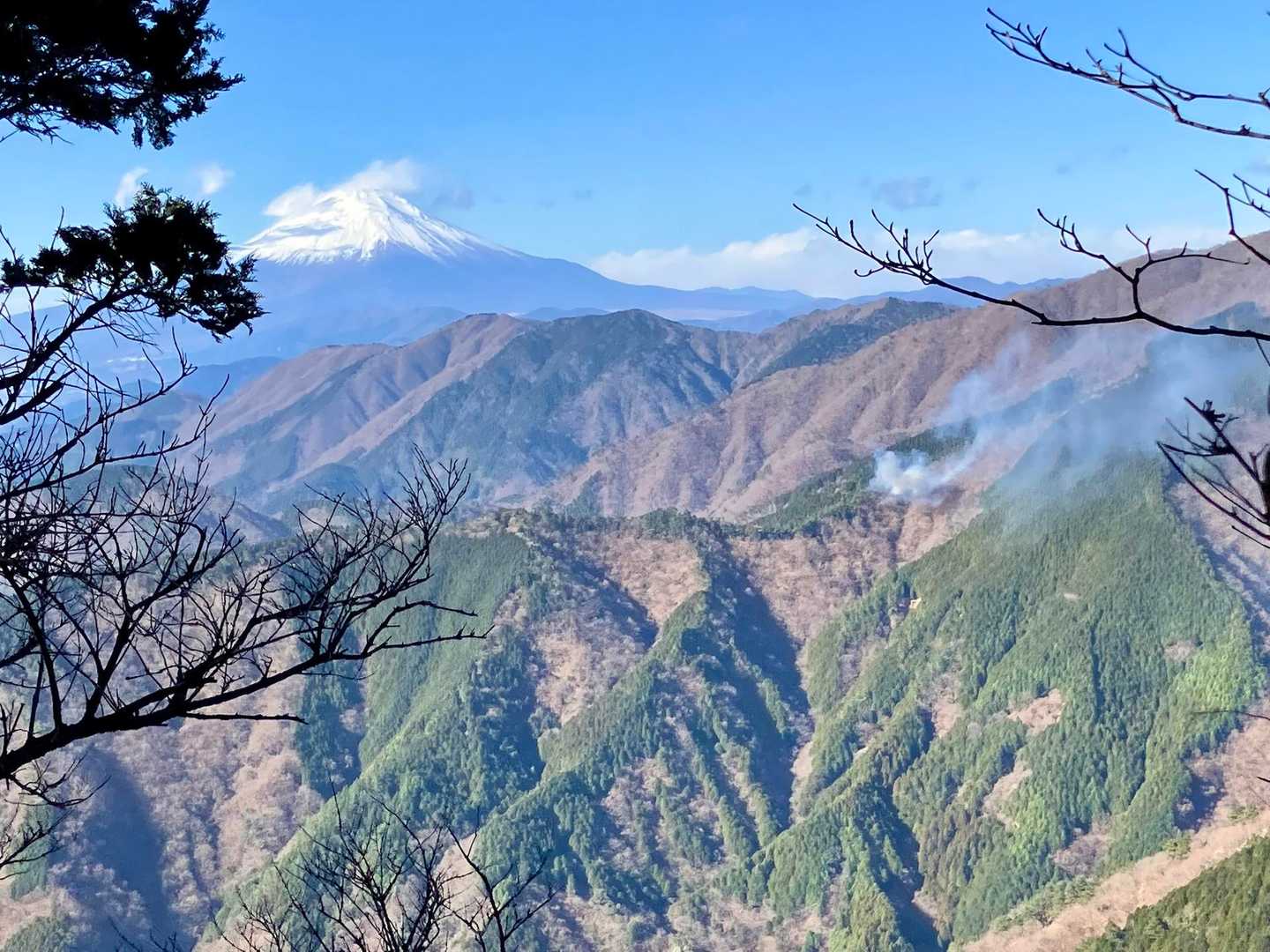 ヤビツ峠-三ノ塔-大倉バス停 縦走コースの写真