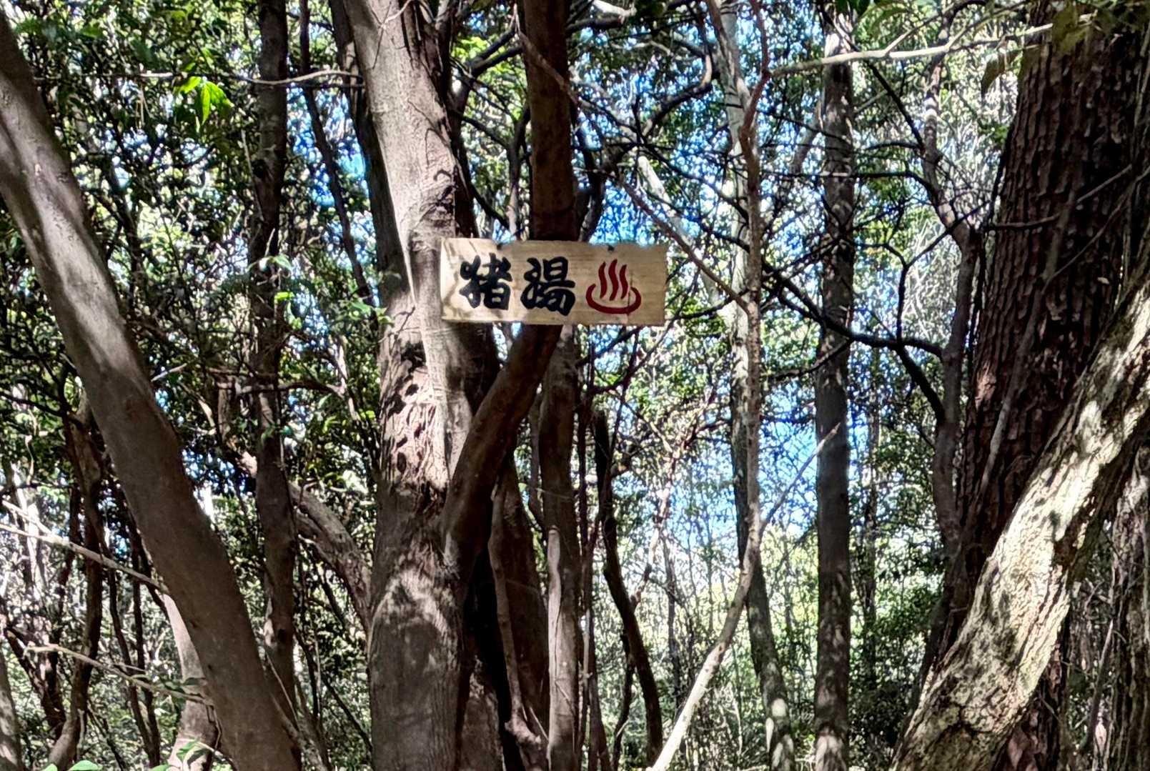 久しぶり、猪湯♨️