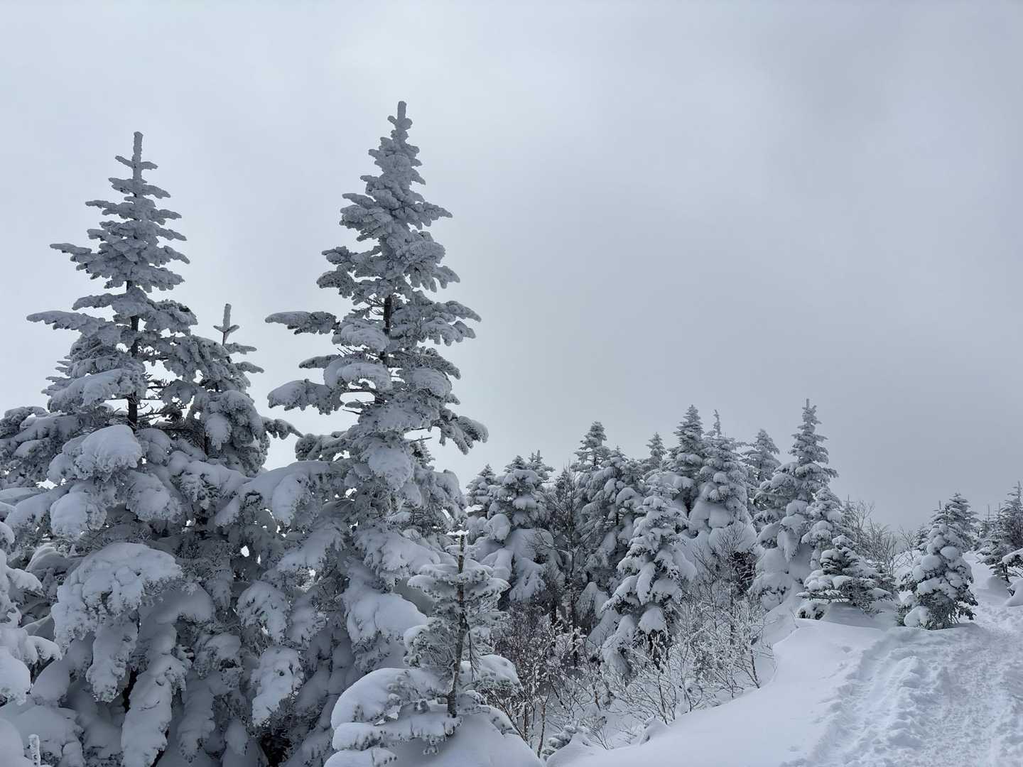 四阿山登山口-小四阿-中四阿-四阿山 往復コースの写真