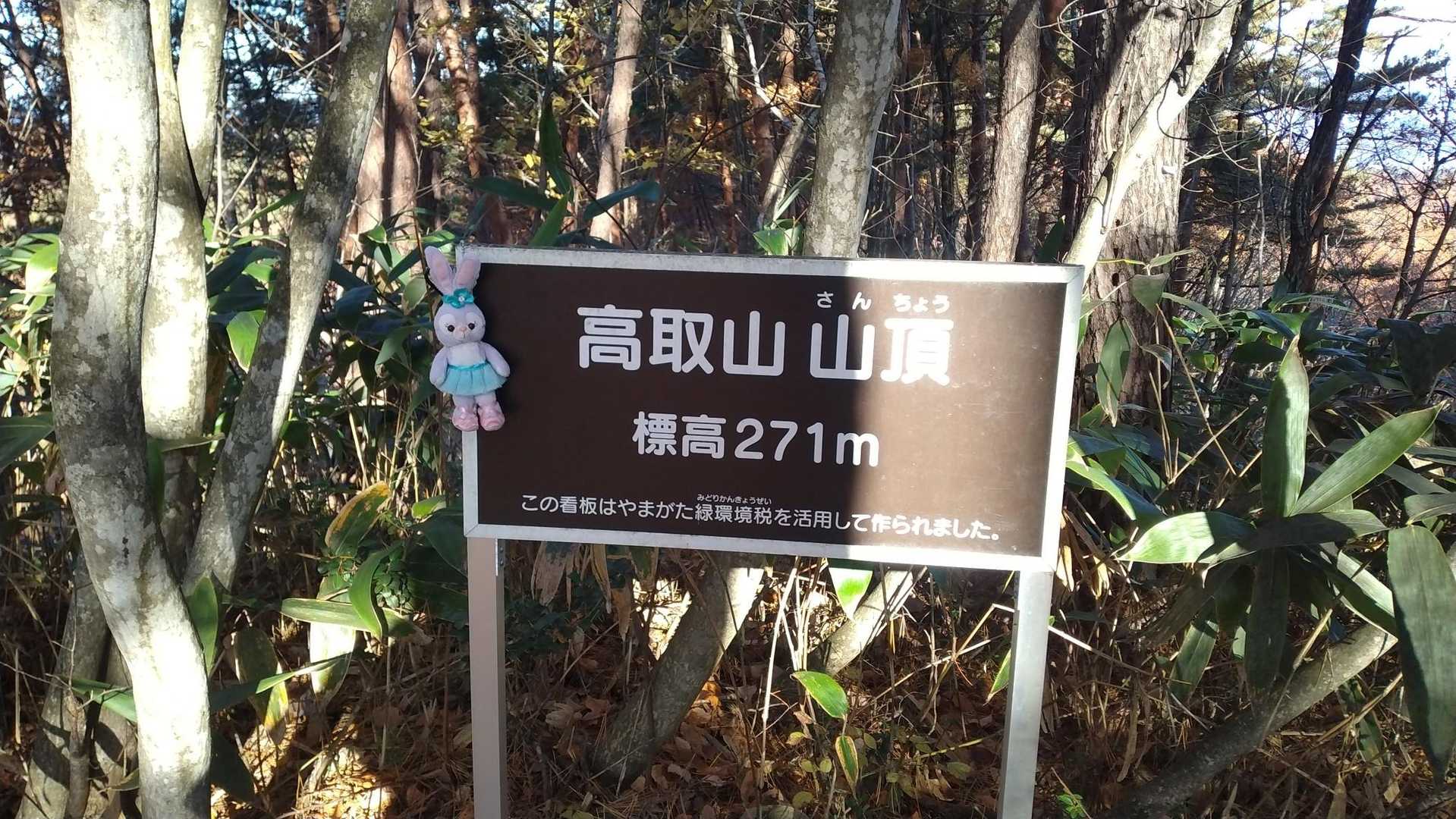 山頂です。