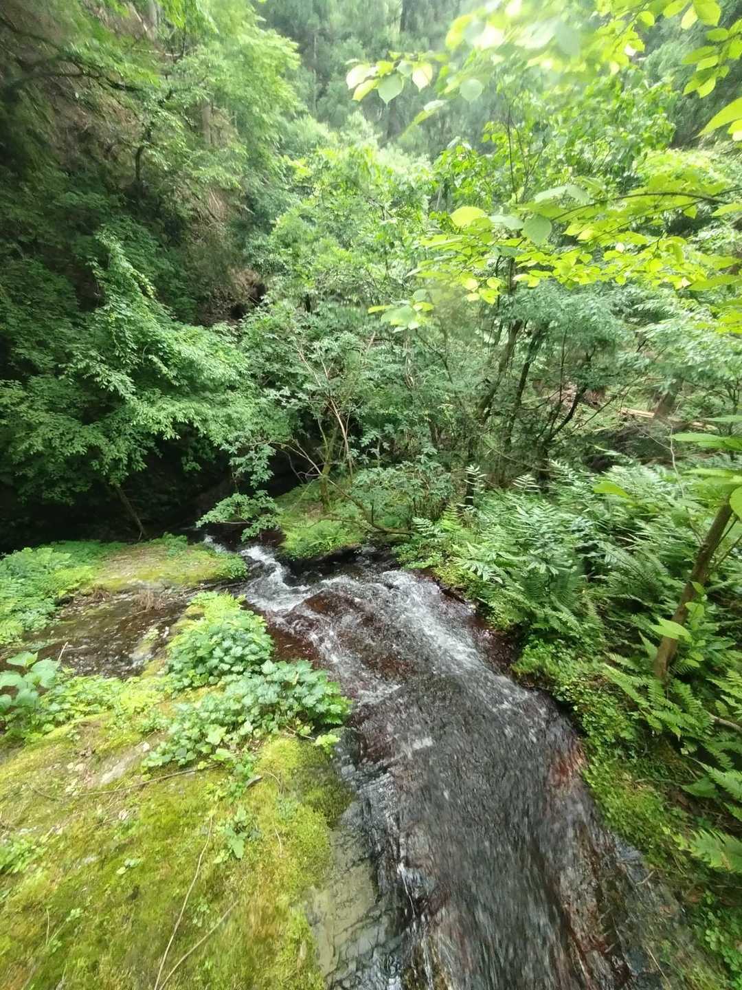25ｍ程のスラブ滝