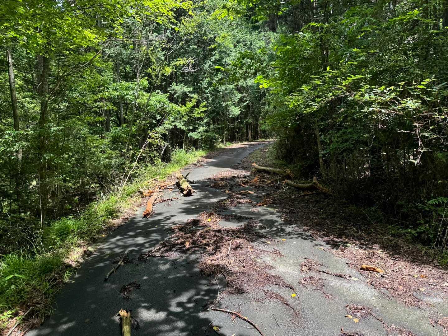 ここは林道。車で入れるのは関係者のみ。
やめた方がいいです☝️