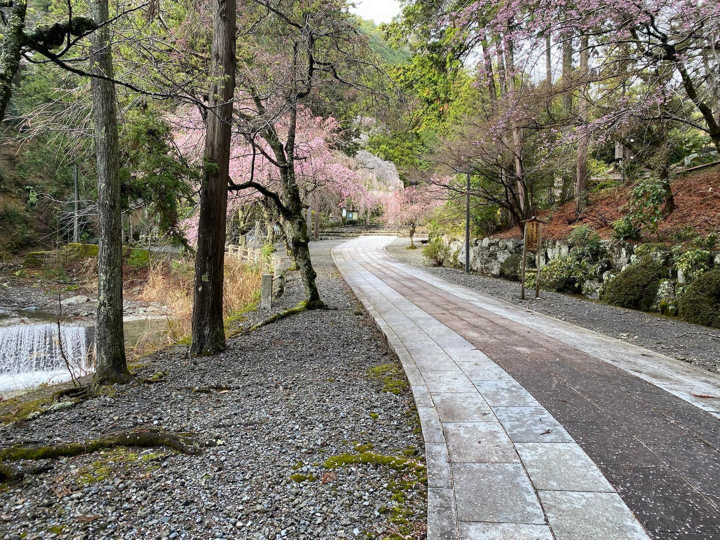 身延山周回 | 日蓮宗総本山の聖地。往時の参道を行けば富士山・南アルプスの眺望の写真