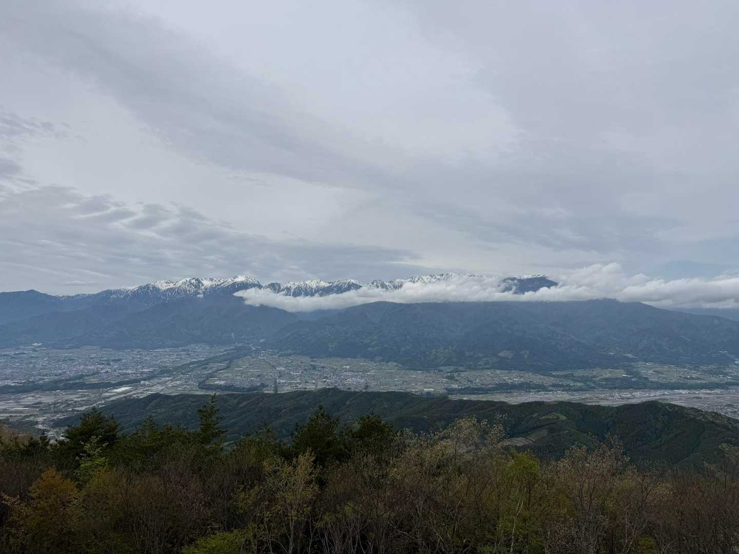 高烏谷山-つが平-高烏谷のマツハダ 往復コースの写真