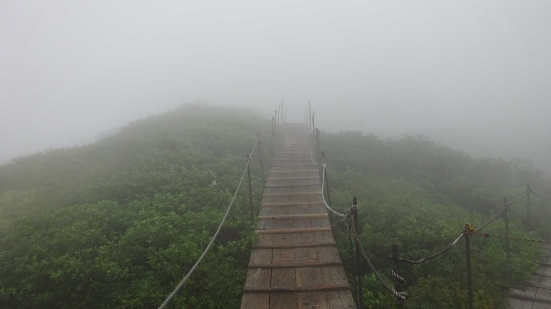 完全に雲の中ですね。