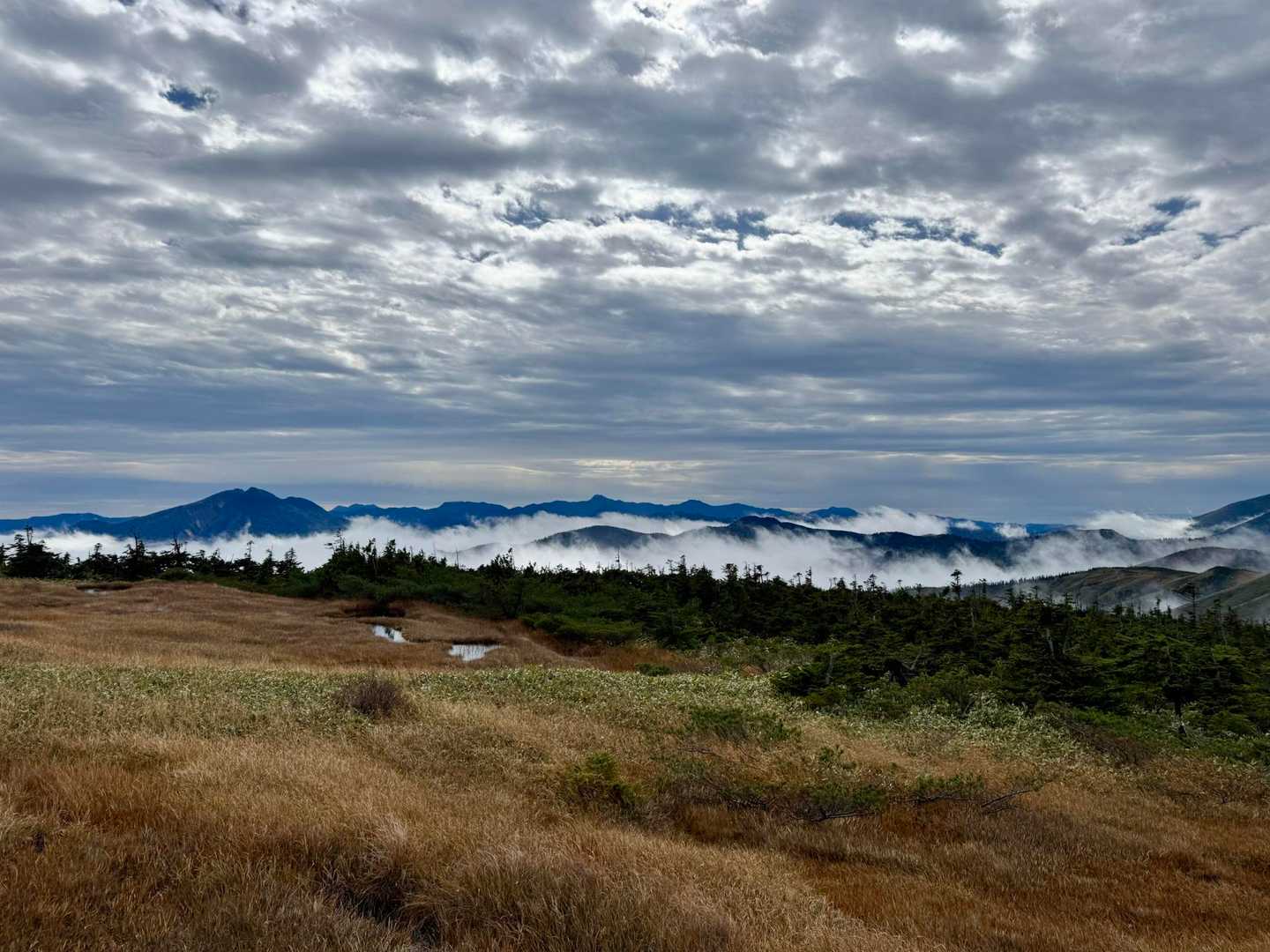 平ヶ岳（プリンスルート） 往復コースの写真