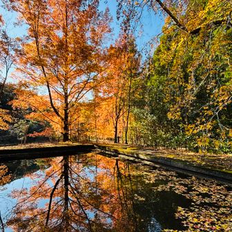 リフレクションが綺麗でした