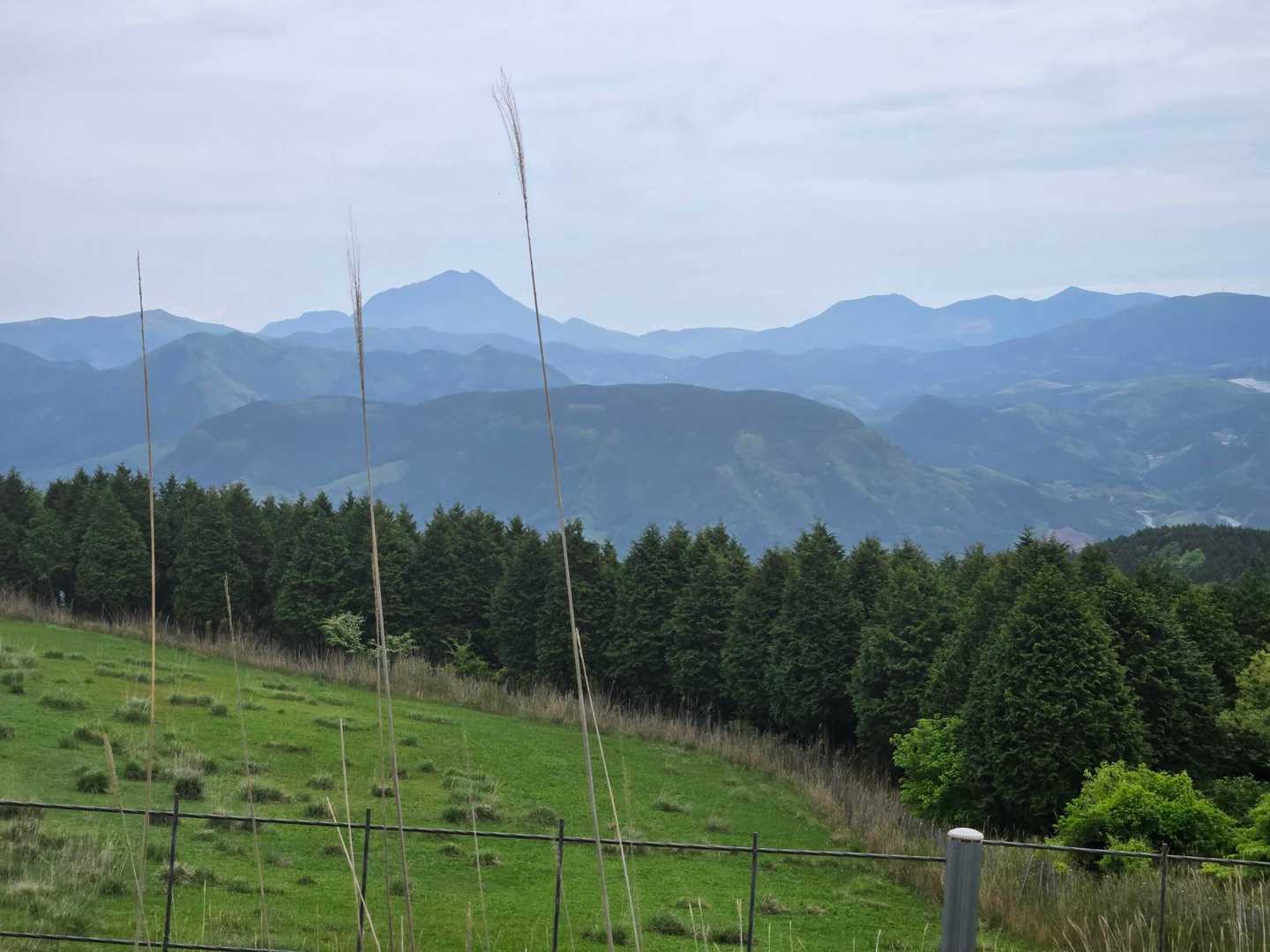 万年山 往復コースの写真