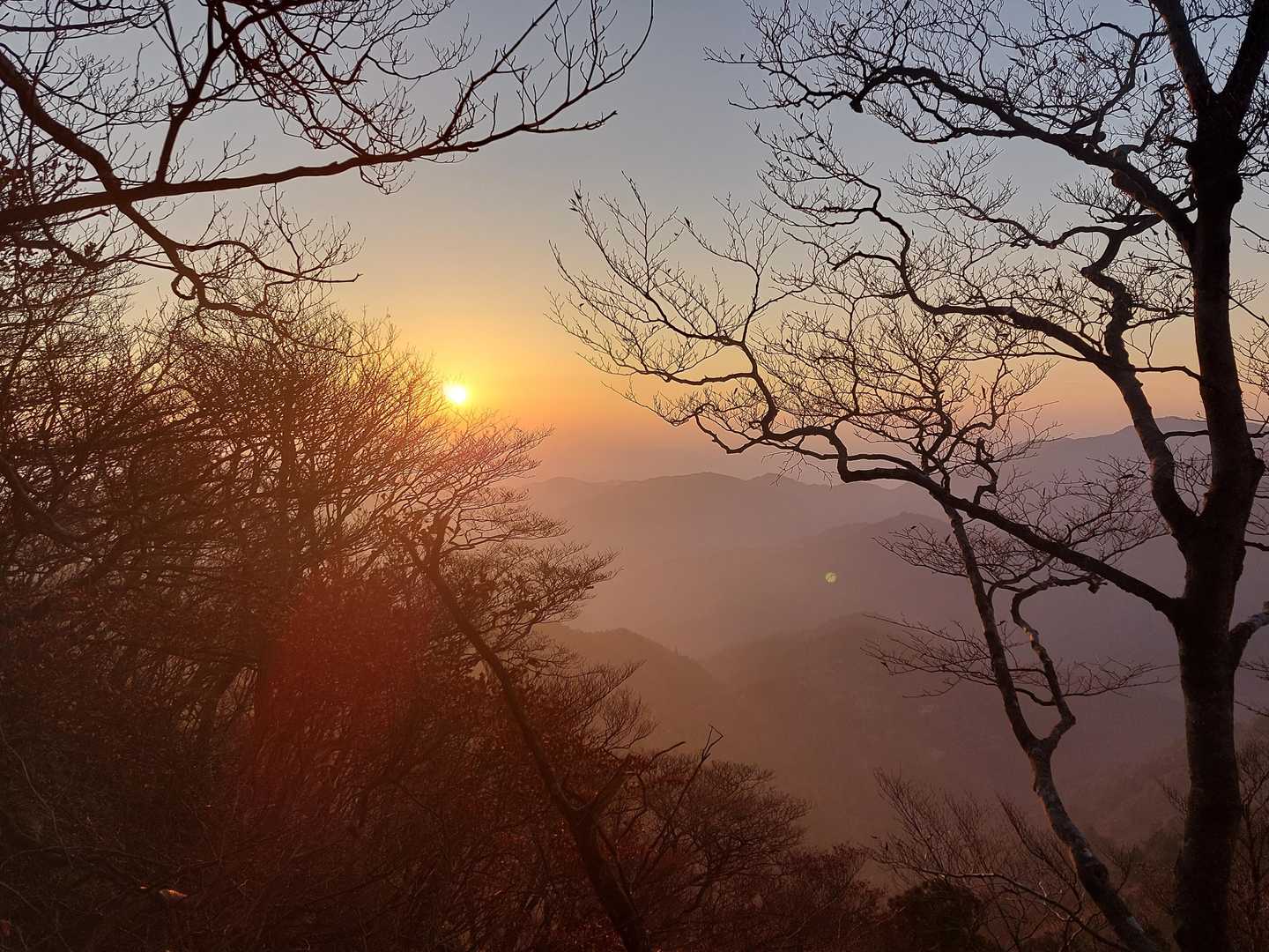 武平トンネル西登山口-武平峠-鎌ヶ岳 往復コースの写真