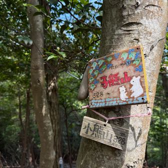 続いて子熊山😄