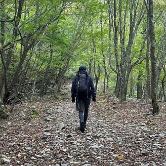 ⛰️あるてみす⛰️