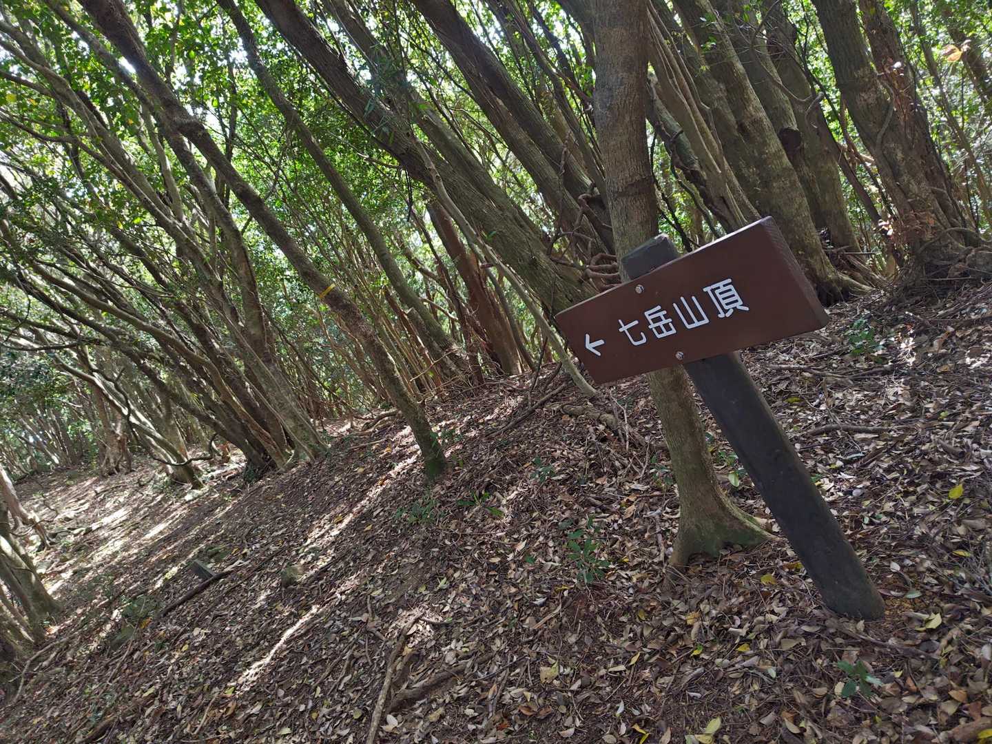 七ッ岳 往復コースの写真