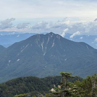 太郎山
カッコいい長男くん😎