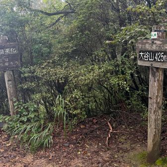 大谷山到着。