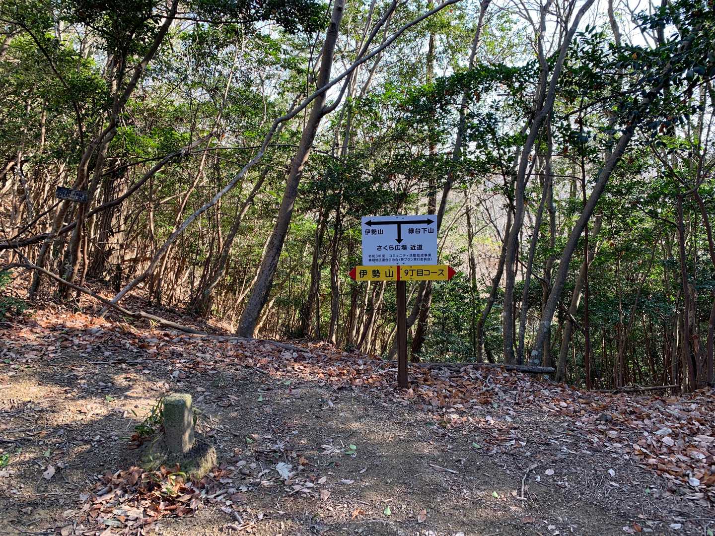 尾根に出たので､左方向へ