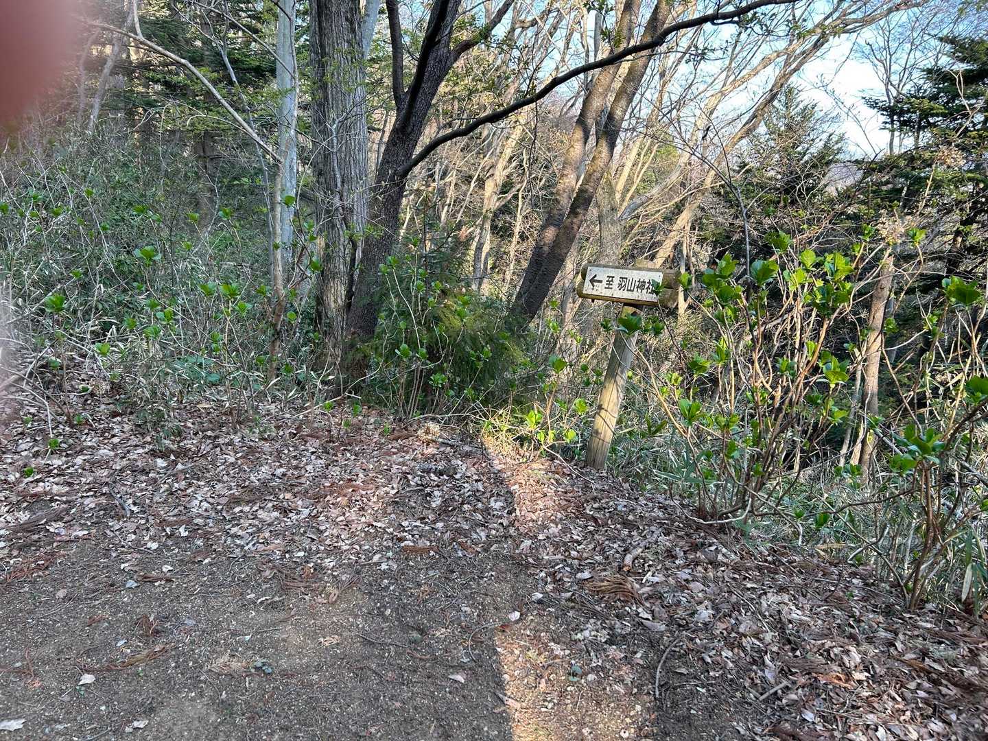 韮神山遺跡-韮神山-羽山 往復コースの写真