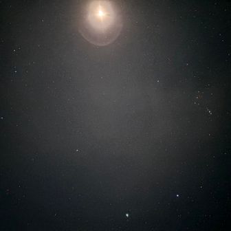 今日は月明かりもあります🌕