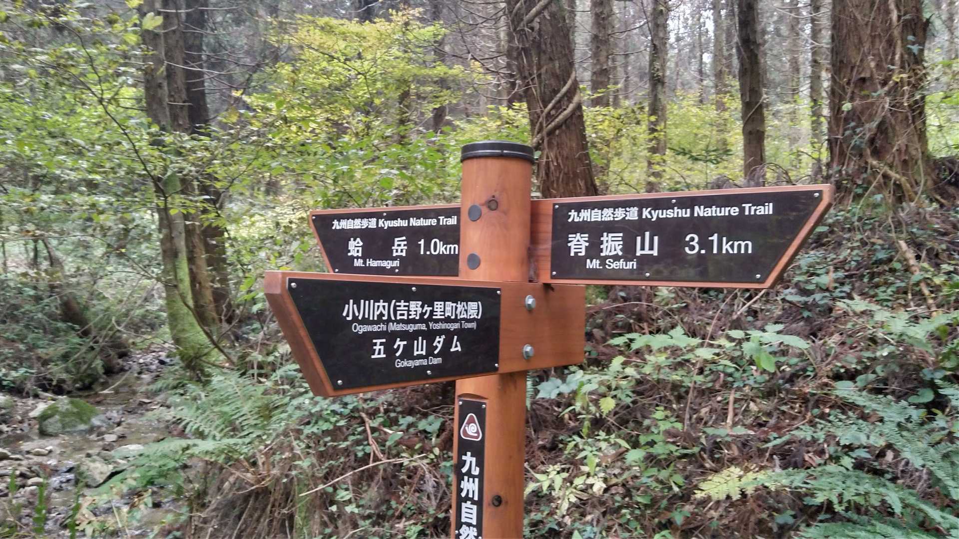 分岐