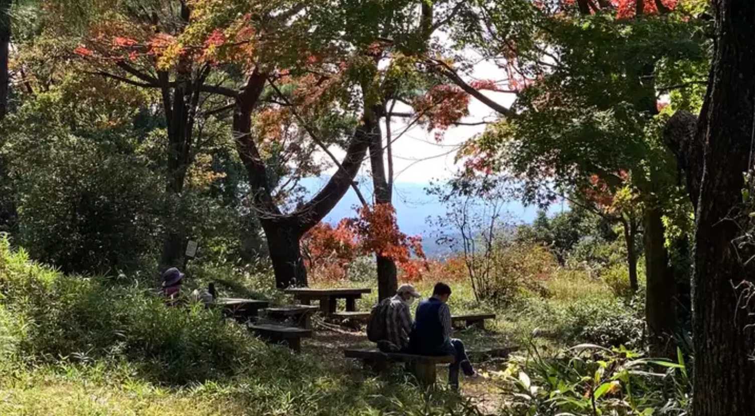 大原山の写真