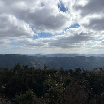 南東の眺望🪟✨
霧島山は雲の中にぼんやり
😶‍🌫️あとのお山は分からないけど、
ずーっと山々の稜線連なる👍