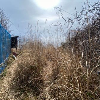 ここが山頂らしい
そら誰も来ないね🤦‍♂️🤷