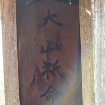 大山祇命　ちゃんと神様が入居中なので、お賽銭をお供えご挨拶