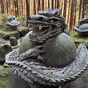 生駒山・神津嶽・大原山 龍④

同じようでちょっとずつ違う🐲
この龍さま、笑ってるみたい🤭