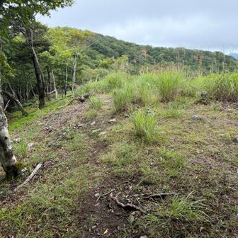 耳取山に向かう。