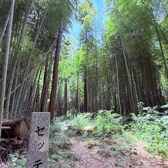 セッテイ山   接待が語源らしい