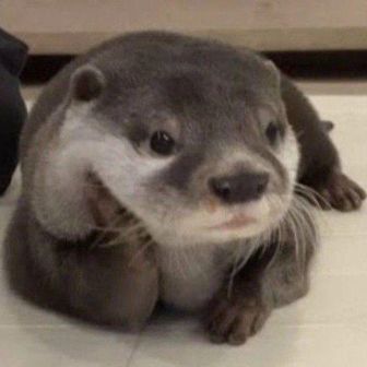 タカシ  (✌️˘ω˘)✌️