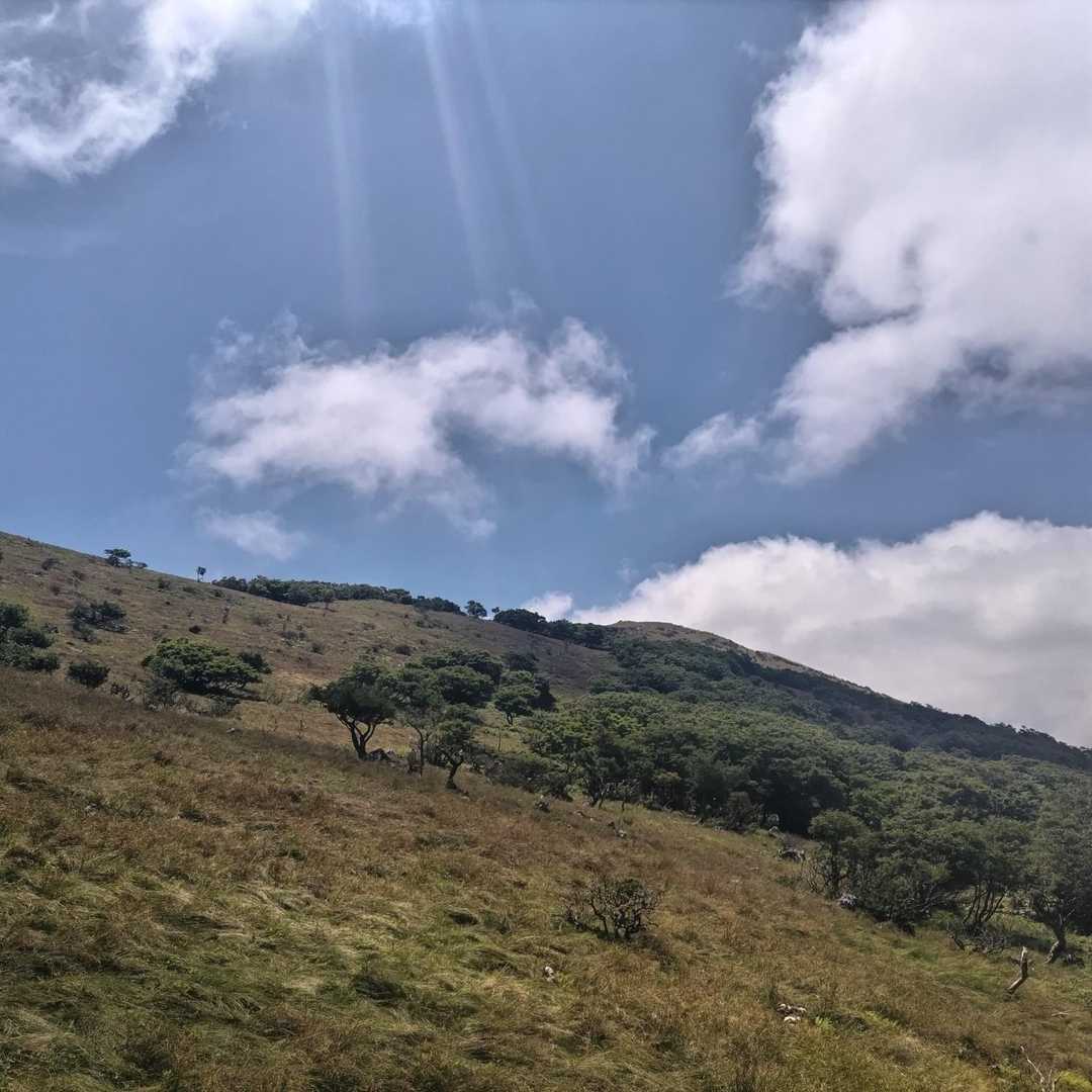 伊吹山頂上方面