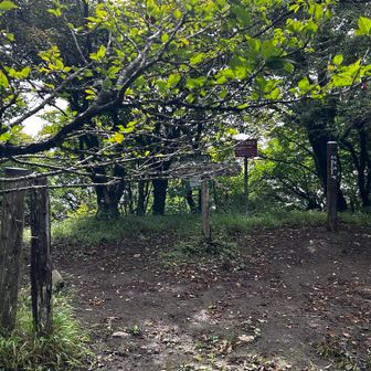 大室山山頂。景色はほぼない。