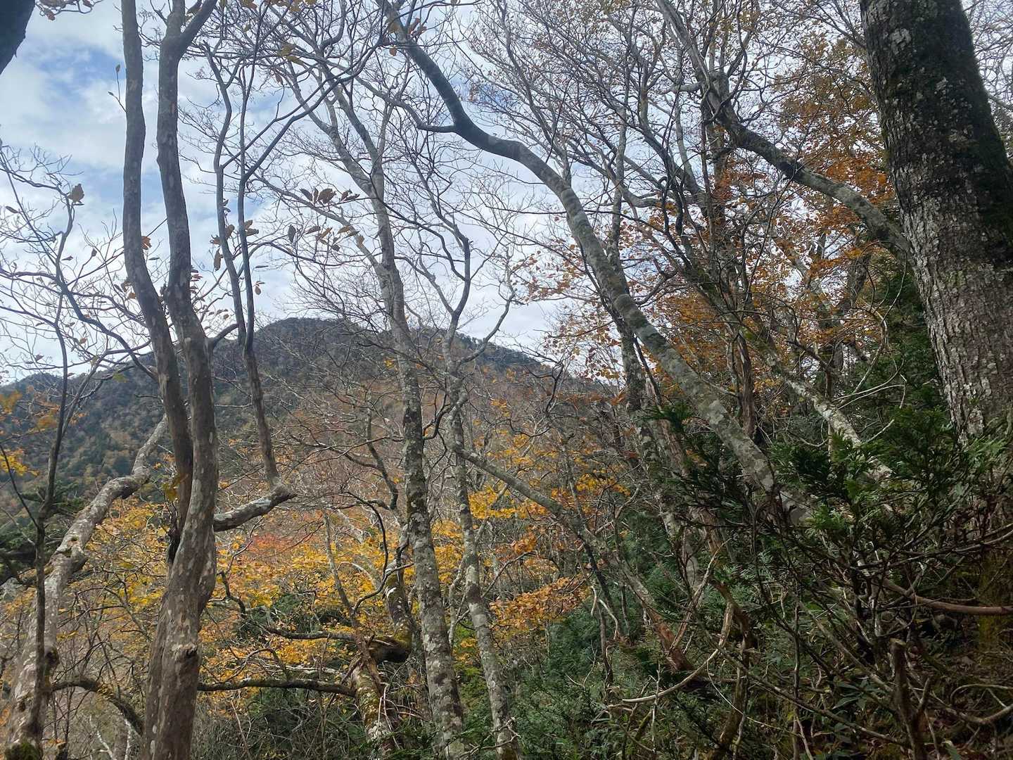 見えて来た山頂