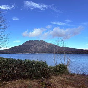 尾瀬沼に到着！

本当に沼？？湖では？？
大きいです！
　
水鳥がたくさん浮かんでいました。カイツブリという、渡りをしない留鳥らしいです。
