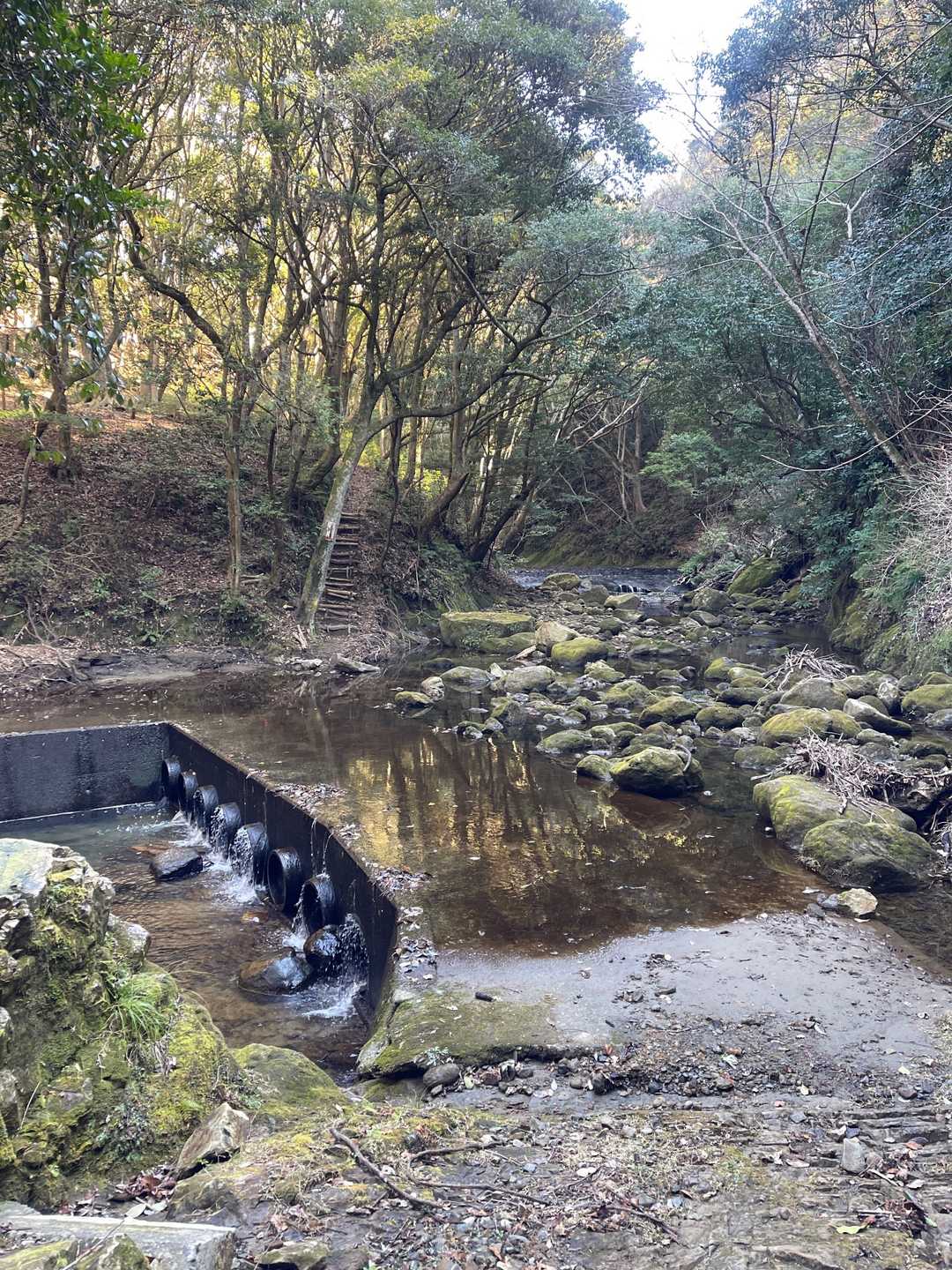 渡渉場所
ここのためにゴム長できました。